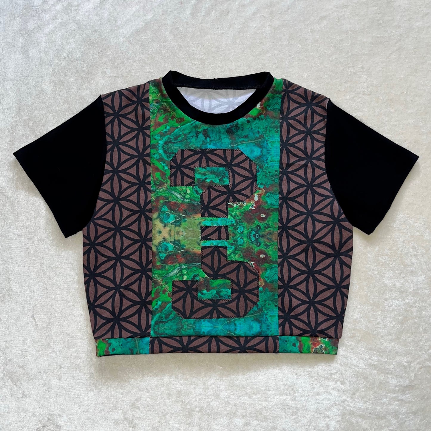 ?¿ Appliqué Cropped Tee S/M
